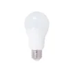 XXCELL - LED Bulb E27 100W Equivalent - XX706715 product image