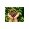 Terre-Terre Enriched Potting Soil - The Supra - SUPRA-1L product image