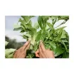 Terre-Terre - Intensive Plant Treatment Kit - SUPRA-4X1L product image