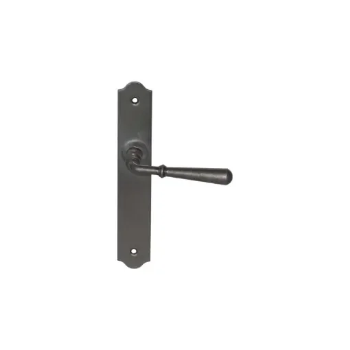 Divers - Beynac Door Handle on Plate - Duck's Beak - 010401FP product image