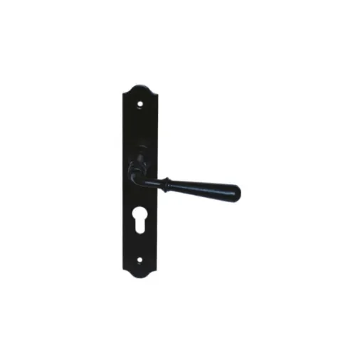 Divers - Classic Key Plate Door Handle Beynac - 010403N product image