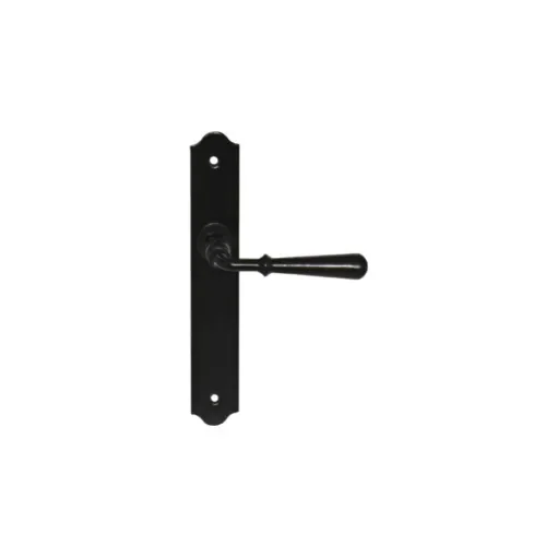 Divers - 2 Door Handles on Plate Beynac - Black - 010401N product image