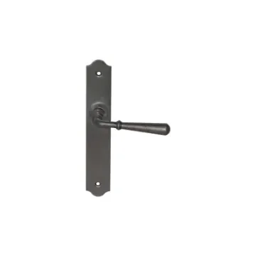 Divers - Beynac Door Handle on Locking Plate - 010404FP product image