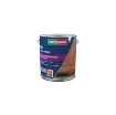 Parexlanko - Waterproofing & Renovation Paint 3-in-1 - L455TUIL03 product image