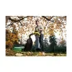 Ryobi - Universal Leaf Collector for Blower Vacuums - RAC365 product image