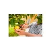 Stocker Harvesting Shears 18cm - Ergonomic Design - 79006 product image