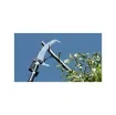 SPEAR & JACKSON - Telescopic 2-in-1 Pruner - 57600 product image