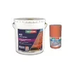 Parexlanko - 3-in-1 Waterproofing & Renovation Paint - L455TUIL10-L261TUIOC20 product image
