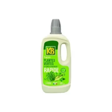 KB - Quick Fertiliser for Green Plants - KBINT1N product image