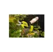 Ryobi - 18V One+ Pruner - Bypass Blades - RY18SCA-0 product image
