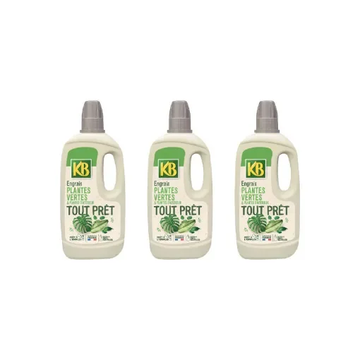 KB - Ready-to-Use Fertiliser for Green Plants - KBTPVNx3 product image