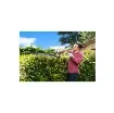 Ryobi - 18V One+ Hybrid Hedge Trimmer Pack OHT1850H - 5133003657-5133003368 product image