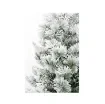 Atmosphère Green - Snow-Flocked Artificial Tree 90cm - N25061 product image