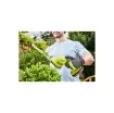 Ryobi - Plant Sculptor Shears 18V One+ - RY18GSA-0 product image