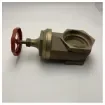 Guidi - 5 Inch Bronze Gate Valve - 1522#200014 product image
