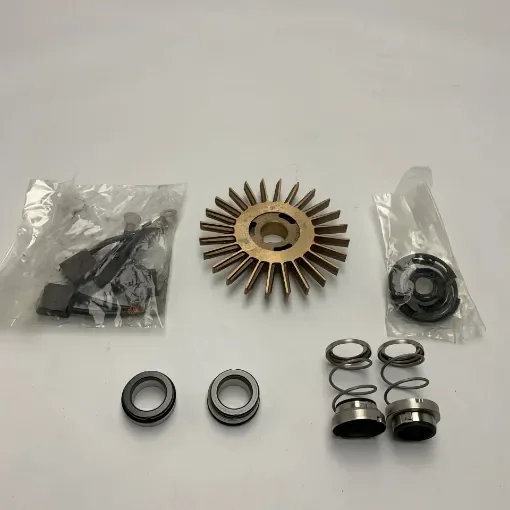 Gianneschi - 24V ACM301/311BT Pump Repair Kit - KACM30101C product image