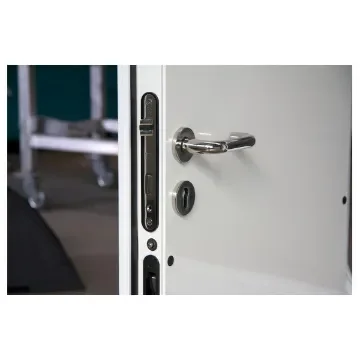 Lethe - LL-D2-A60 Fire-Resistant Hinged Door - Stainless Steel product image