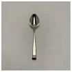 NEMESIS 313173 serving spoon premium stainless steel finish product image