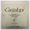 Cantalupi - TIDE IP55 G4 20W Satin Finish Spotlight - 20TIDE113GF1S product image