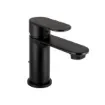 Aquaeco - Black Single Lever Bathroom Tap - AQM-CND-301-CP product image