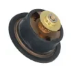 John Deere - Engine Cooling Thermostat - DZ100553 product image