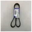 Volvo Penta - V-Ribbed Drive Belt Black - 20451458 product image