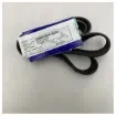 Volvo Penta - V-ribbed Generator Drive Belt - 981390 product image