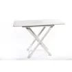 Marricreo - Folding Table with Carry Bag - MA1213 product image