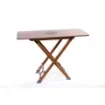 Marricreo - Folding Table with Carry Bag - MA1213 product image