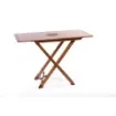 Marricreo - Folding Table with Carry Bag - MA1213 product image