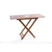 Marricreo - Folding Table with Carry Bag - MA1213 product image
