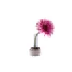 Marricreo - Elegant Single Flower Vase - MA1425 product image