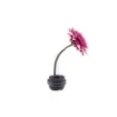 Marricreo - Elegant Single Flower Vase - MA1425 product image