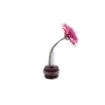 Marricreo - Elegant Single Flower Vase - MA1425 product image