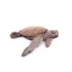 Marricreo - Large Driftwood Turtle Sculpture - MA1491 product image