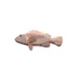 Marricreo - Wooden Beach Subject Grouper - MA1496 product image