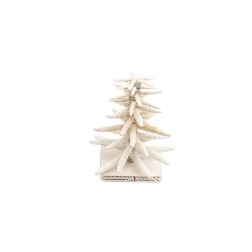 Marricreo - Stelle Marine Decorative Tree - MA1647 product image