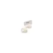 Marricreo - Shell Place Card - MA1603 product image