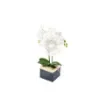 Marricreo - Artificial Orchid Composition - MA1663 product image