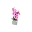 Marricreo - Artificial Orchid Composition - MA1663 product image
