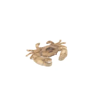 Marricreo - Large Wooden Beach Crab - MA1687 product image