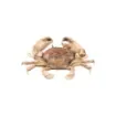 Marricreo - Large Wooden Beach Crab - MA1687 product image