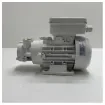 Gianneschi - ACB 61 G Self-Priming Bronze Liquid Pump - 230V product image