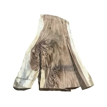 Résine-Net - Wooden Slab for River Table Creation - TR0001 product image