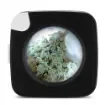 smoking - Airtight Storage Box with LED & Magnifying Glass product image