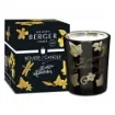 Lampe Berger - Lolita Lempicka Black Tealight Candle product image