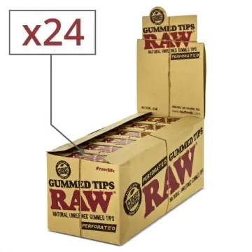 RAW - Gummed Perforated Cardboard Filters - 24 Pack product image