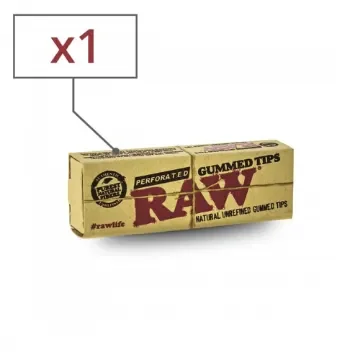 RAW - Gummed Perforated Cardboard Filters - 33 Count product image
