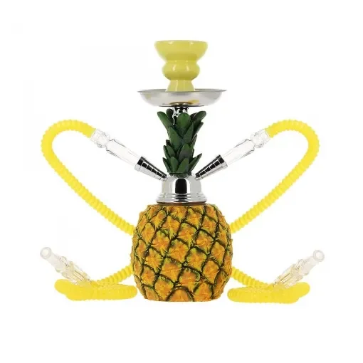 smoking - Small Pineapple Shisha - Unique Design product image