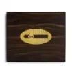 Smoking - Rey Del Mondo Cigar Humidor - product image